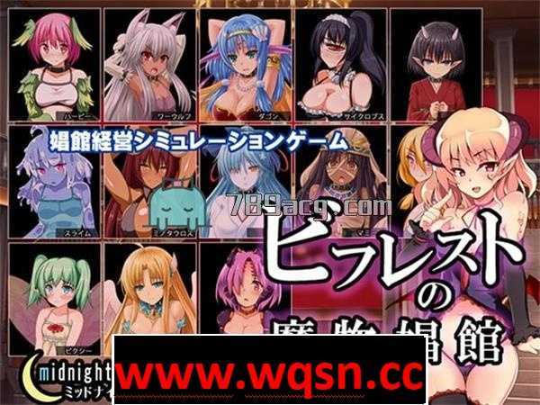 【经营SLG/生肉】比利特的魔物娘风俗店 V1.11 DL官方步兵版 【2.4G】 - 万千少女游戏网-万千少女游戏万千少女游戏网