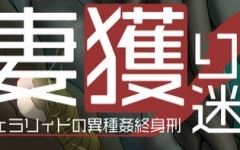 【爆款RPG/汉化】妻獲り迷宮：雪拉莉德的异种终身刑 汉化作弊版【PC+安卓/1.3G】 - 万千少女游戏网-万千少女游戏万千少女游戏网