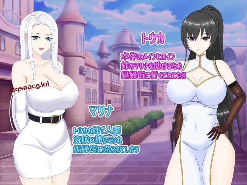 [RPG] 寝取られ娼婦街～強気幼馴染が娼婦に堕ちる PC+安卓 v1.0-万千少女游戏万千少女游戏网